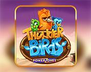 Power Zones™: Thunder Birds